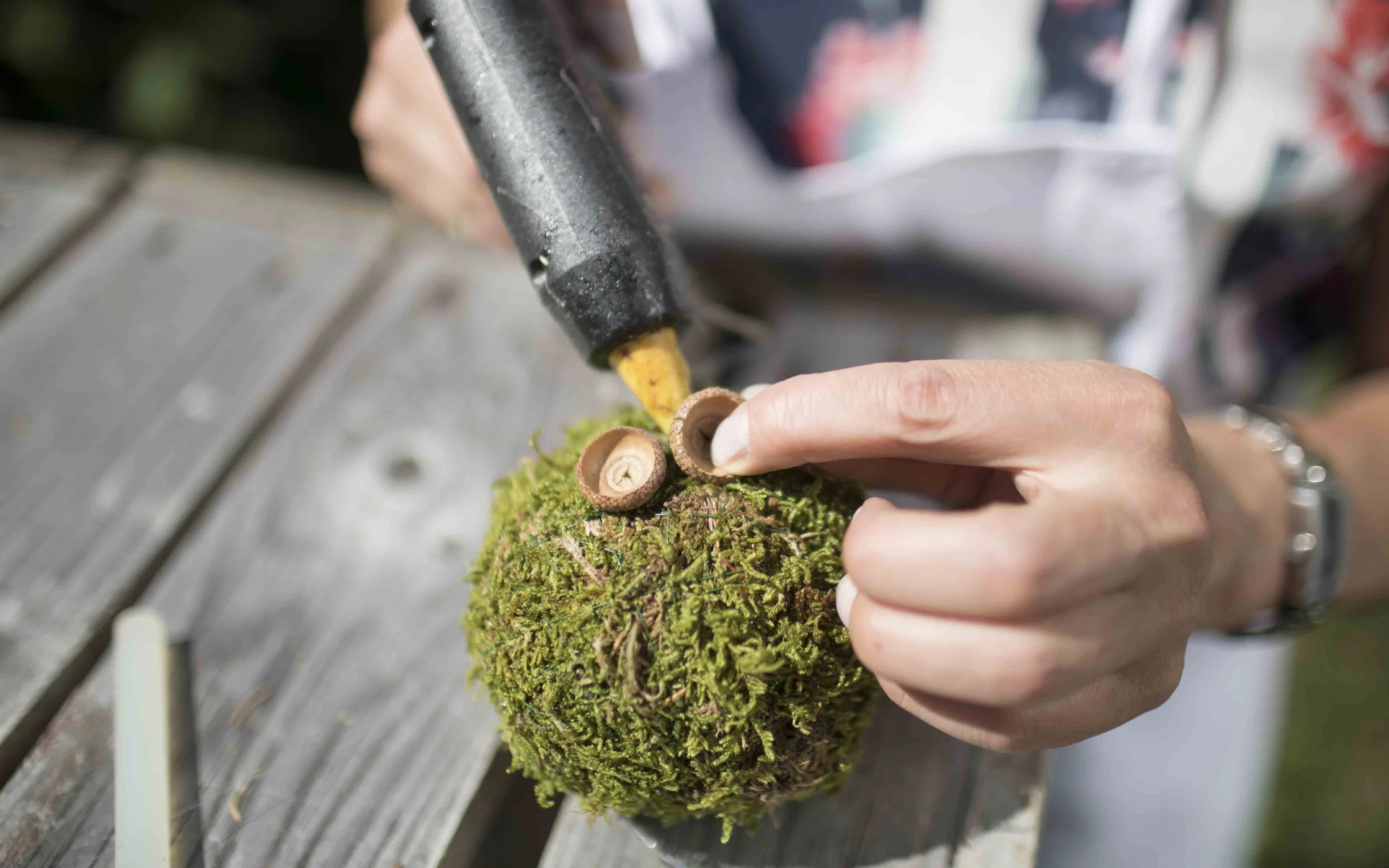 Bild5 Eichelkugel_JohannaLarcherarminhuber_2017 59.jpg